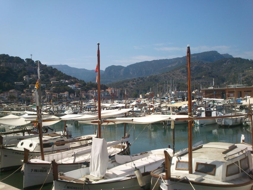 Serra De Tramuntana Half-Day Tour: Soller and Valldemosa