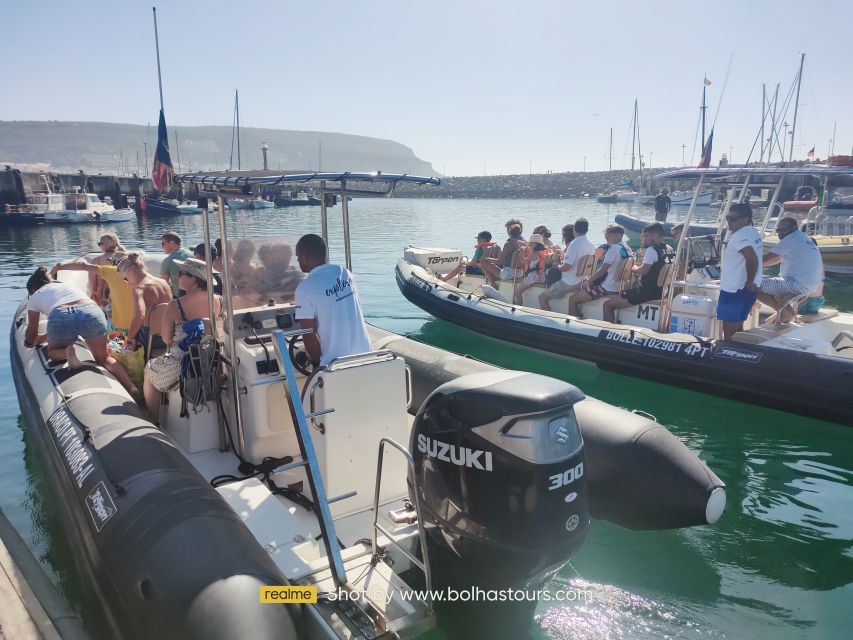 Sesimbra: Dolphin Watching Boat Tour With Biologist Guide