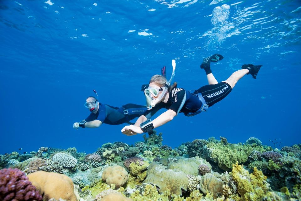 Sesimbra: Snorkeling in the Ocean