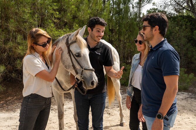 Setubal & Comporta Trip With Horseback Riding From Lisbon