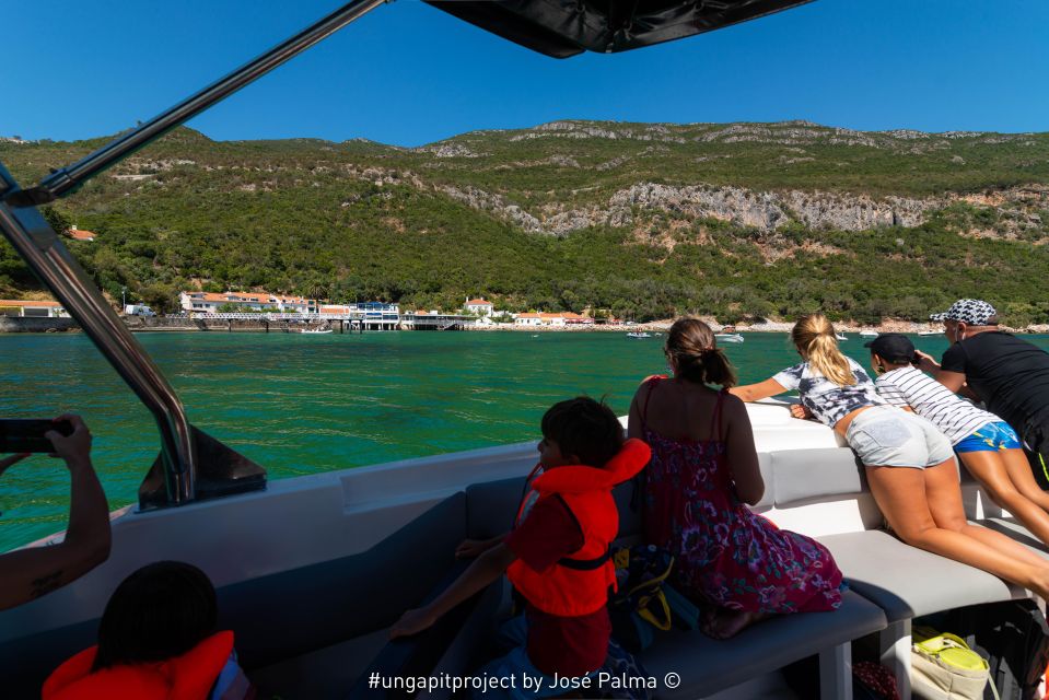 Setúbal: Dolphin Watching