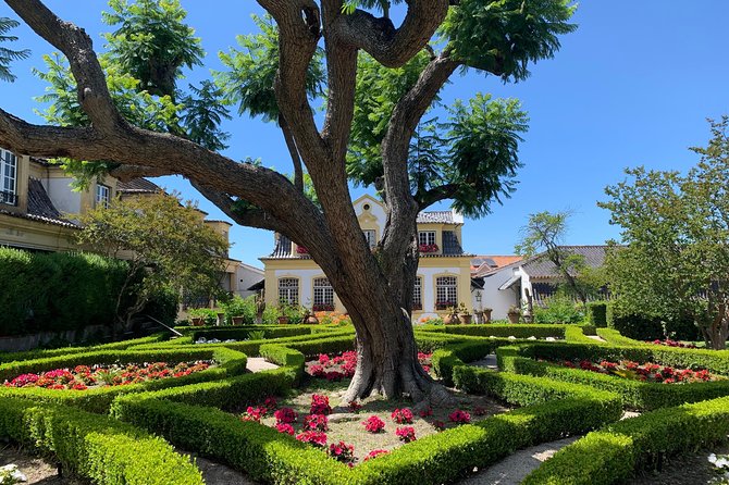 Setúbal Wine Tour With Visit and Tasting at 2 Wineries