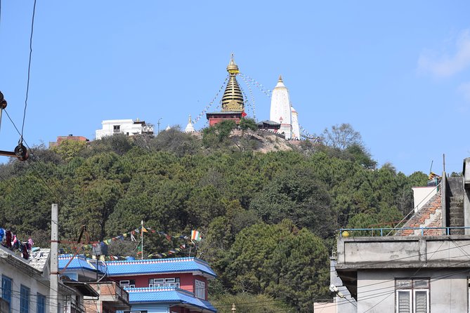 Seven World Heritage Day Tour in Kathmandu Nepal