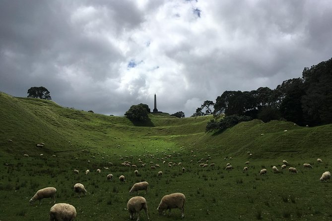 Shore Excursion: Half-Day Auckland Volcanoes Tour