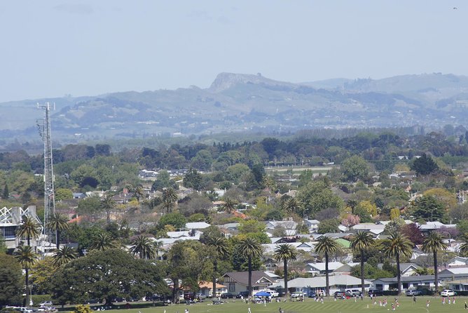 Shore Excursion: Napier and Surrounding Countryside Scenic Tour