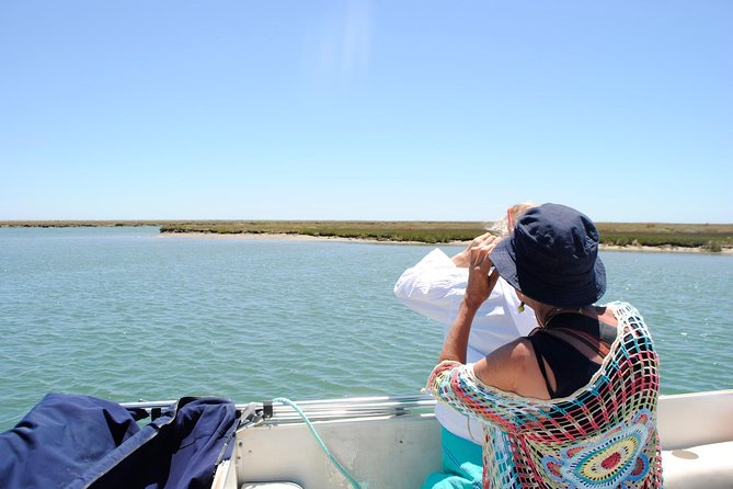 Short Boat Trip of the Algarves Ria Formosa Lagoon From Faro: 1 Hour