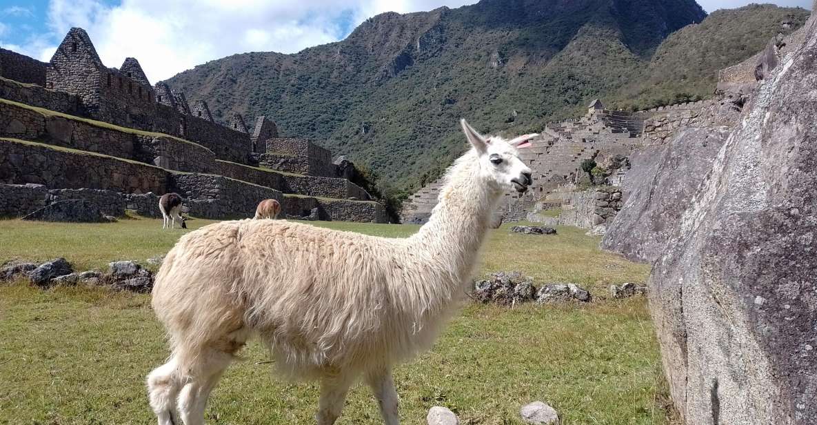 Short Inca Trail Hike, Sacred Valley, With Rainbow Mountain