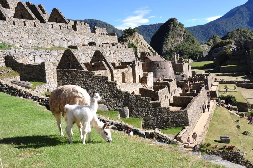 Short Inca Trail to Machu Picchu