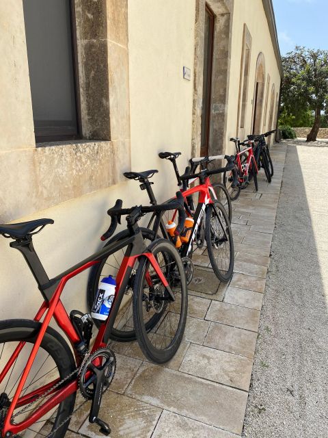 Sicily: Bike Rental With Road, Mountain, or E-Bike Options