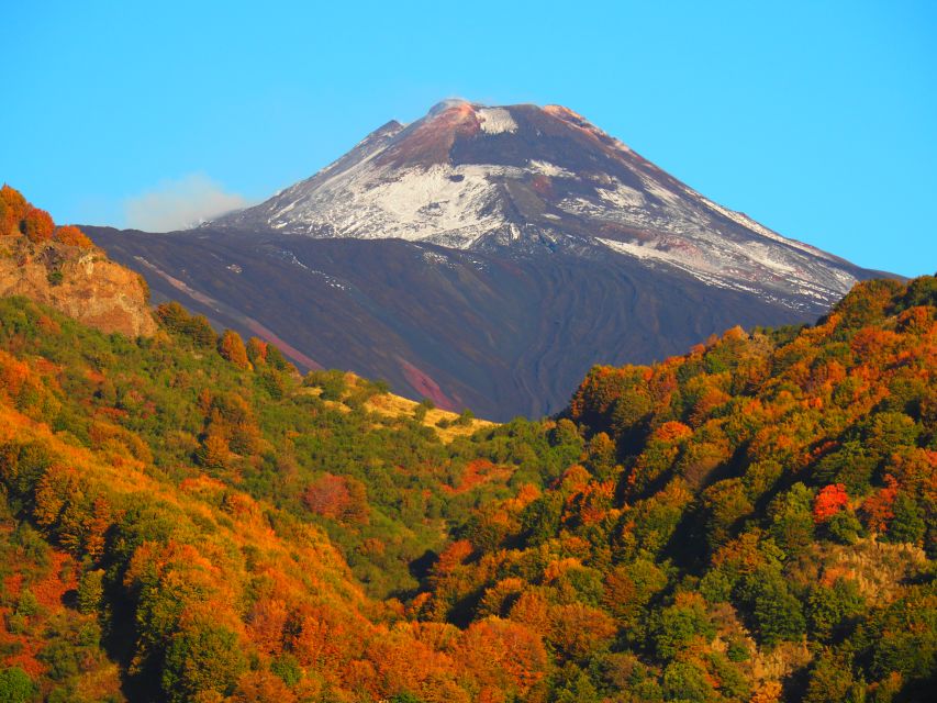 Sicily: Mount Etnas North Slope Craters Guided Hike Tour