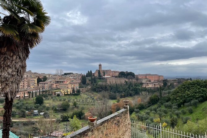 Siena Guided Tour With Cathedral and Optional Crypt & Museum - Inclusions and Accessibility