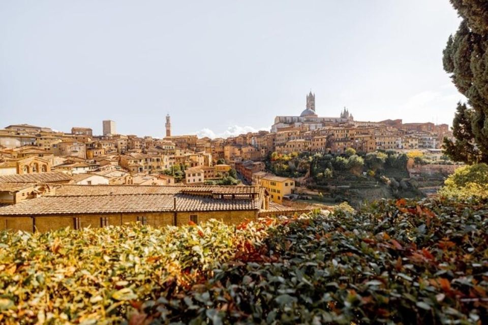 Siena : Highlights Private Walking Tour