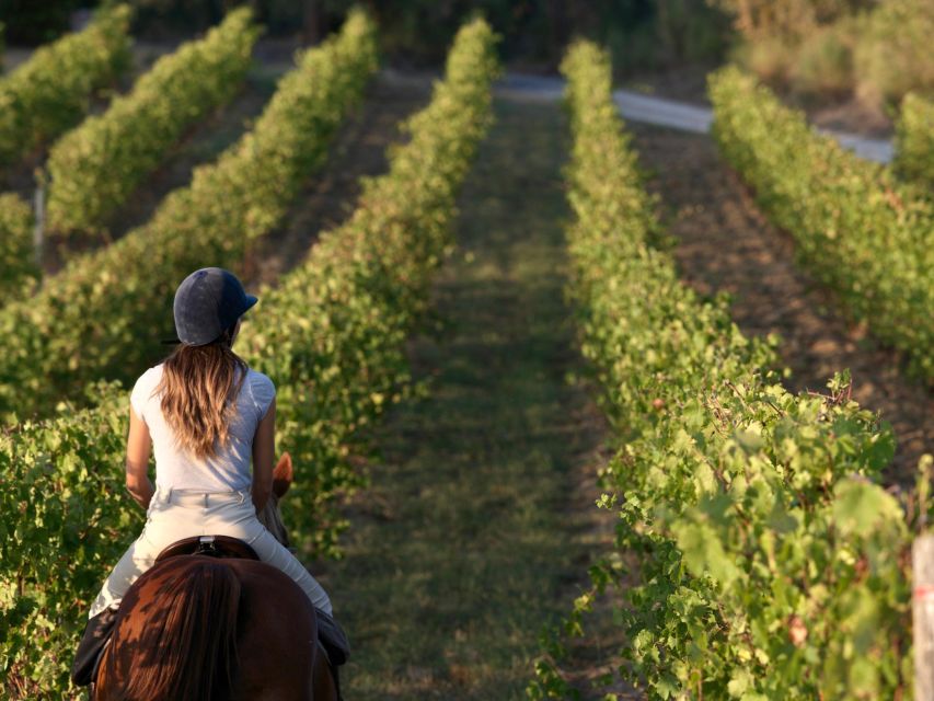 Siena: Horseback Adventure in the Tuscan Countryside