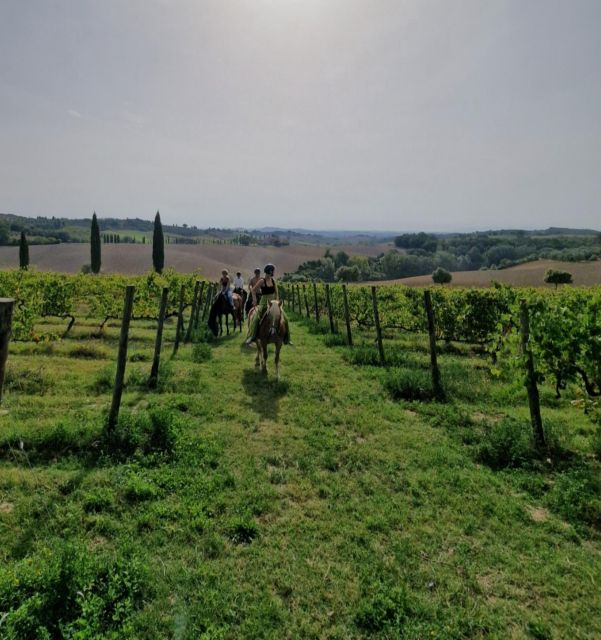 Siena: Horseback Riding Tour in the Siena Countryside - Tour Overview