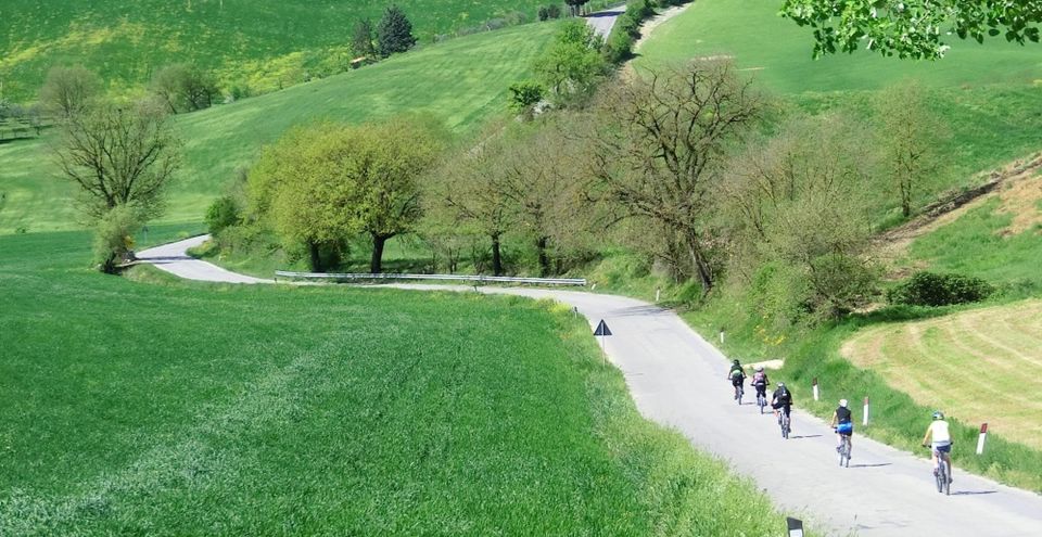 Siena: Pedaling E-Bikes to the Siena Countryside