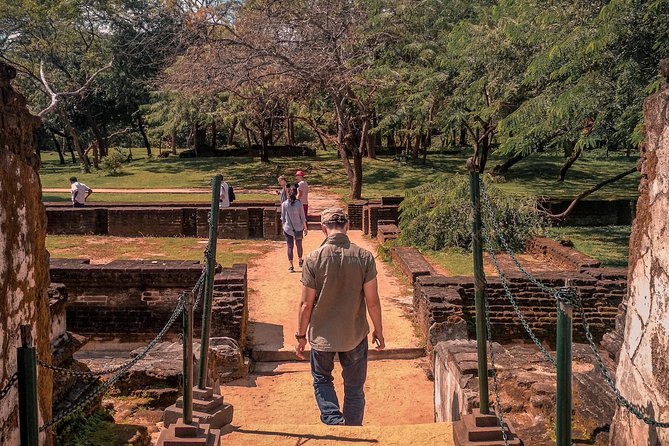 Sigiriya, Polonnaruwa & Dambulla Trilogy Day Tour From Colombo