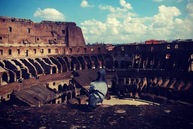 Skip the Line: Colosseum, Palatine Hill, and Roman Forum Private Tour