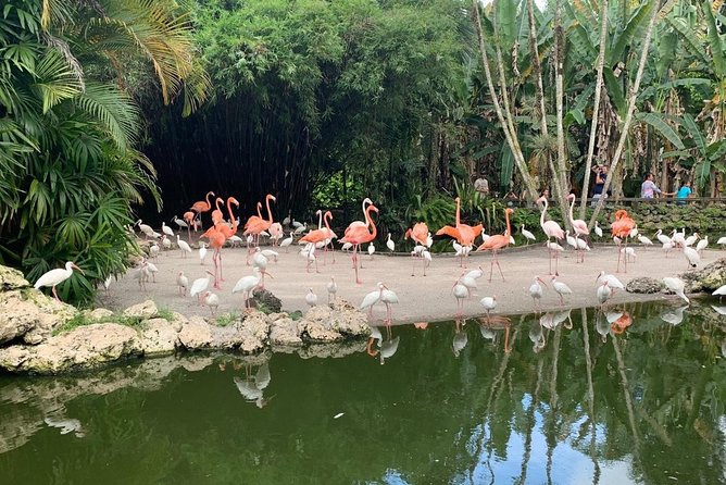 Skip the Line: Flamingo Gardens Admission Ticket in Fort Lauderdale - Overview of Flamingo Gardens