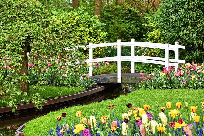 Skip-The-Line Keukenhof Gardens Sighseeing Tour From Amsterdam