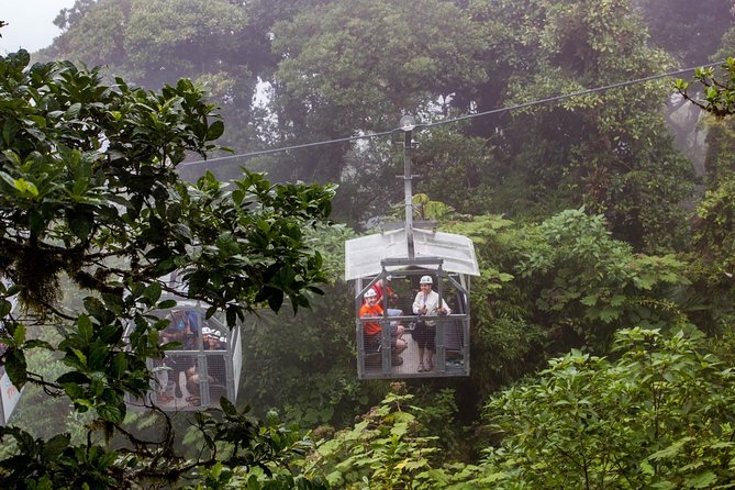 Sky Walk- Sky Tram & Sky Trek Zipline From Monteverde