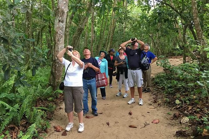 Sloths Lovers Tour. Puerto Limon Shore Excursion