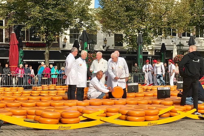 Small Group Alkmaar Cheese Market and City Tour *English*