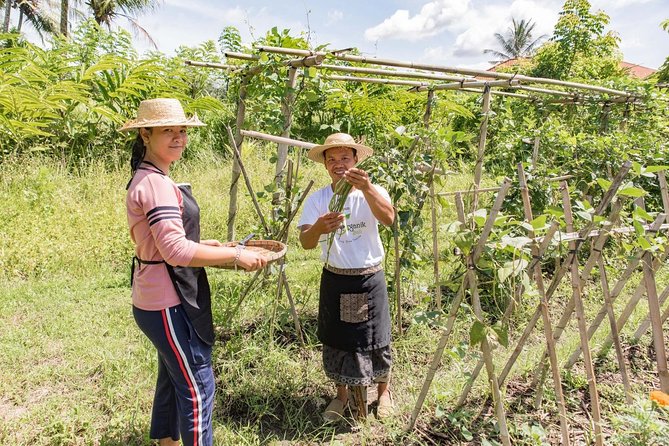 Small Group Balinese Cooking Class on an Organic Farm + Transfers