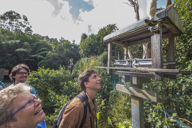 Small Group Daytime 2-Hour Eco Wildlife Tour at Zealandia - Tour Overview