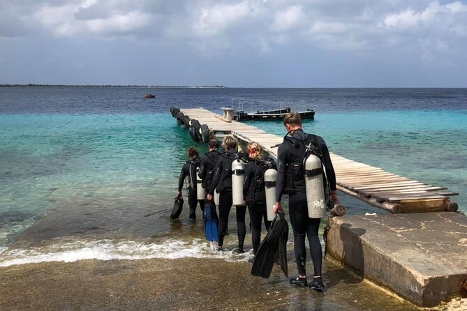 Small Group Diving Experience in Caribbean