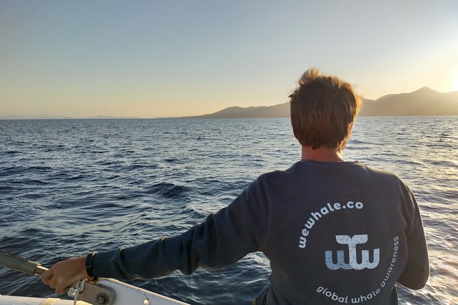 Small Group Dolphin Sunset Tour on Electric Catamaran Lanzarote