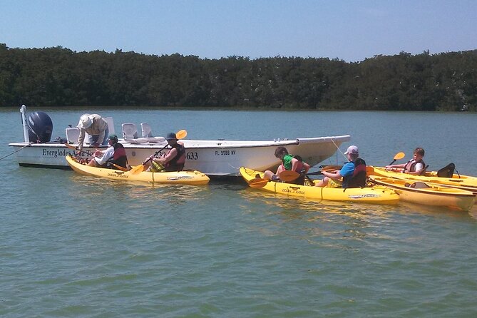 Small-Group Everglades Boating Kayaking and Walking Eco Tour