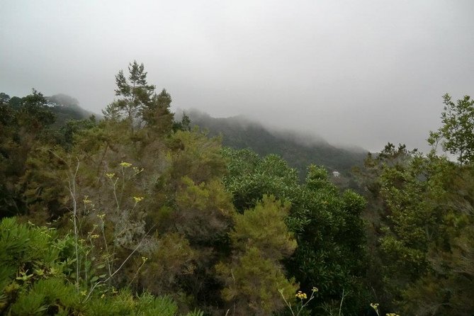 Small Group Guided Hiking in Anaga Rural Park in Tenerife