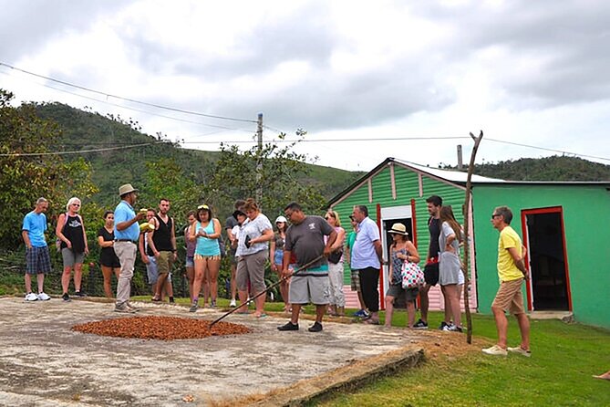 Small Group: Half-Day Cultural Tour of Punta Cana