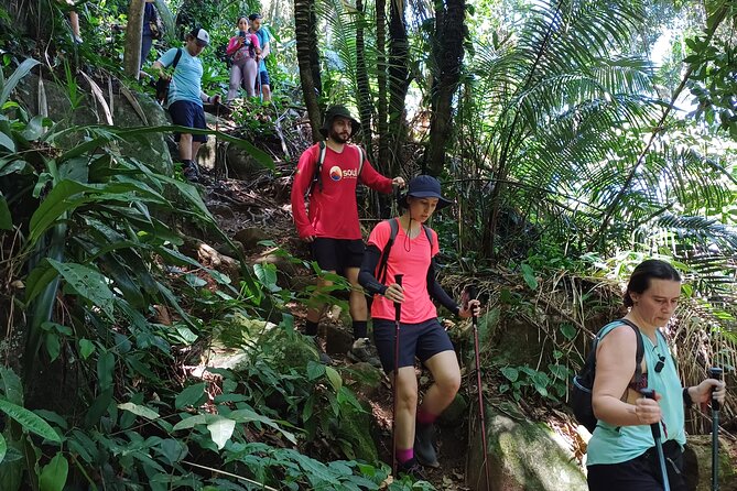 Small Group Hike to Saco Bravo Waterfall