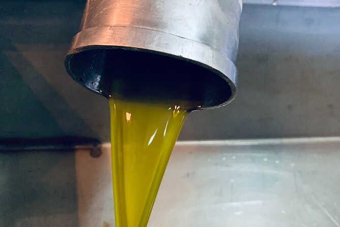 Small-Group Honey & Extra Virgin Olive Oil Tasting Tour in Crete