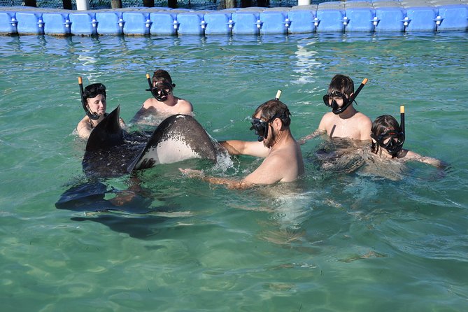 Small Group Snorkeling, Sharks & Stingrays Encounter by Boat - Important Information