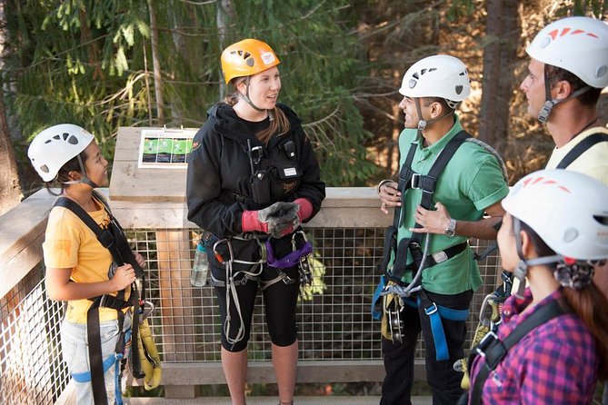 Small-Group Zipline Adventure in Queenstown