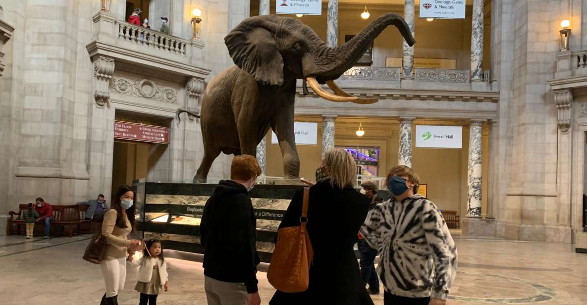 Smithsonian National Museum of Natural History Guided Tour