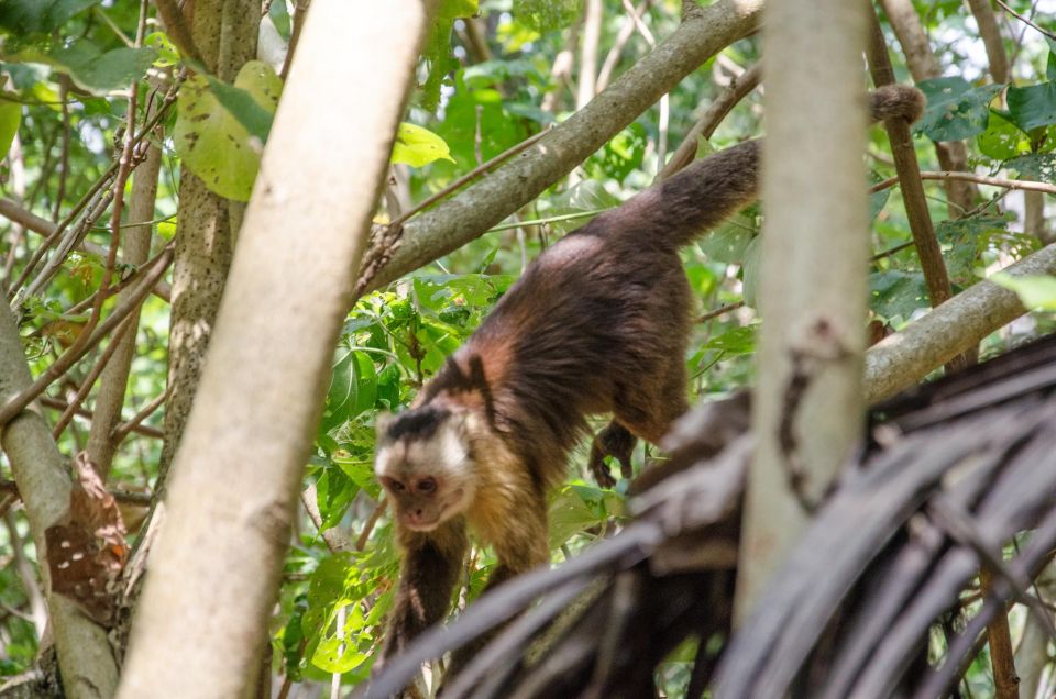 SMR TAYRONA NATIONAL PARK - Trek to Cabo San Juan - Trekking Experience to Cabo San Juan