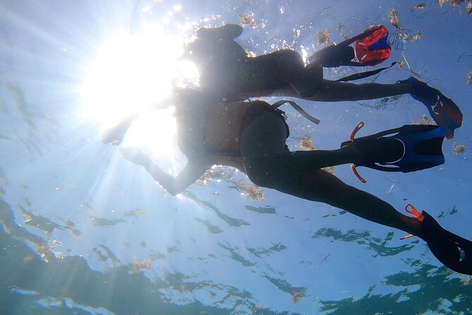 Snorkel Key Largo on Our COMBO Boat With Snorkeling Gear INCLUDED