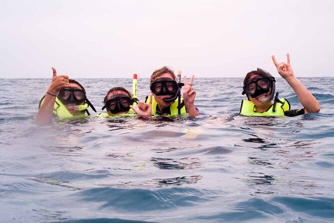 Snorkel With Turtles