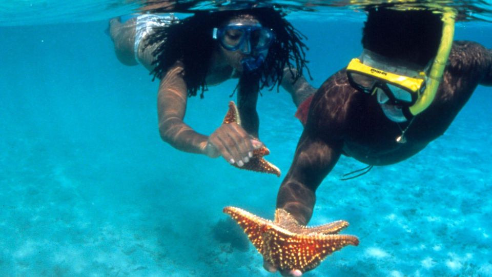 Snorkeling Activity With Boat Ride in Montego Bay