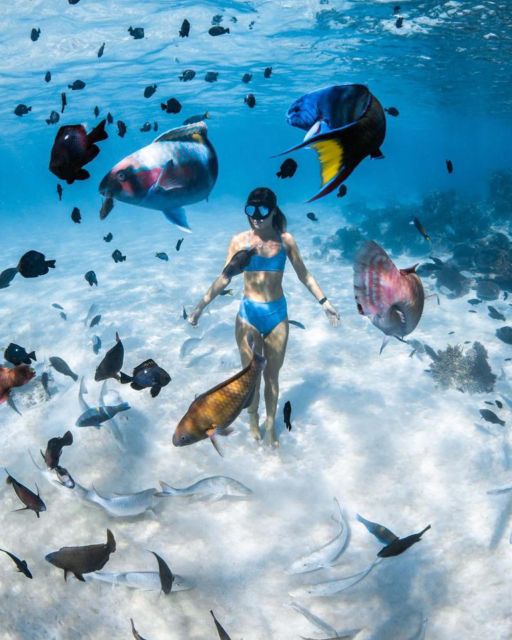 Snorkeling at Blue Lagoon and Waterfall - All Inclusive - Tour Overview and Pricing