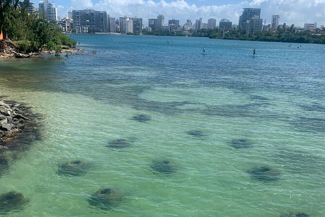 Snorkeling Guided Tour Experience in Condado Lagoon