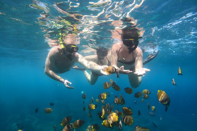Snorkeling In Nusa Penida Island With Manta Ray From Bali