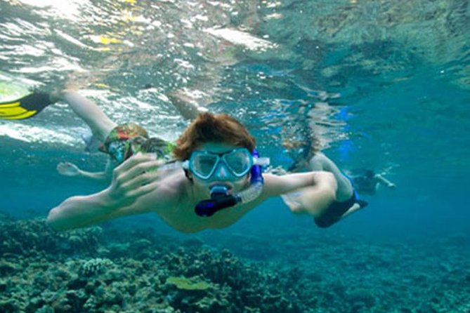 Snorkeling in Unawatuna