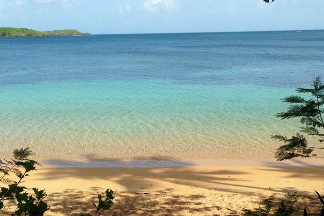 Snorkeling Lesson & Interactive Experience for Kids and Adults