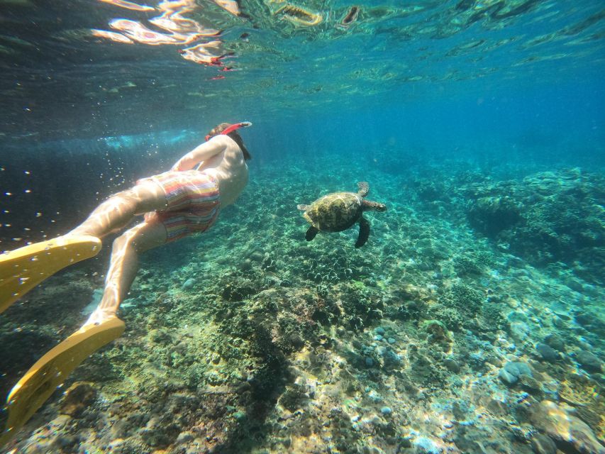 Snorkling & West Day Trip Nusa Penida Island