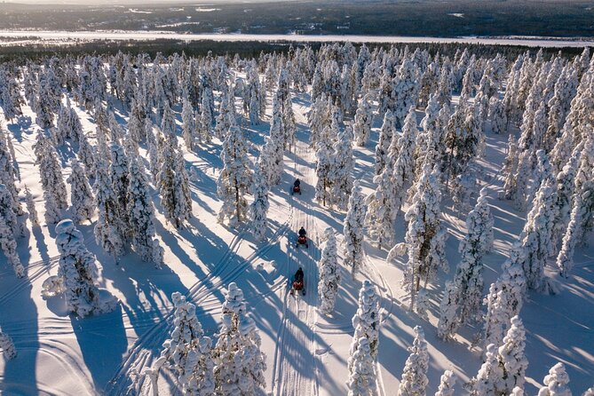 Snowmobiles and Huskies