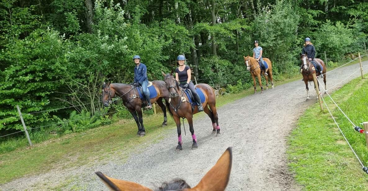 Söderåsen National Park: Horseback Riding Vacation 2 Nights - Package Overview